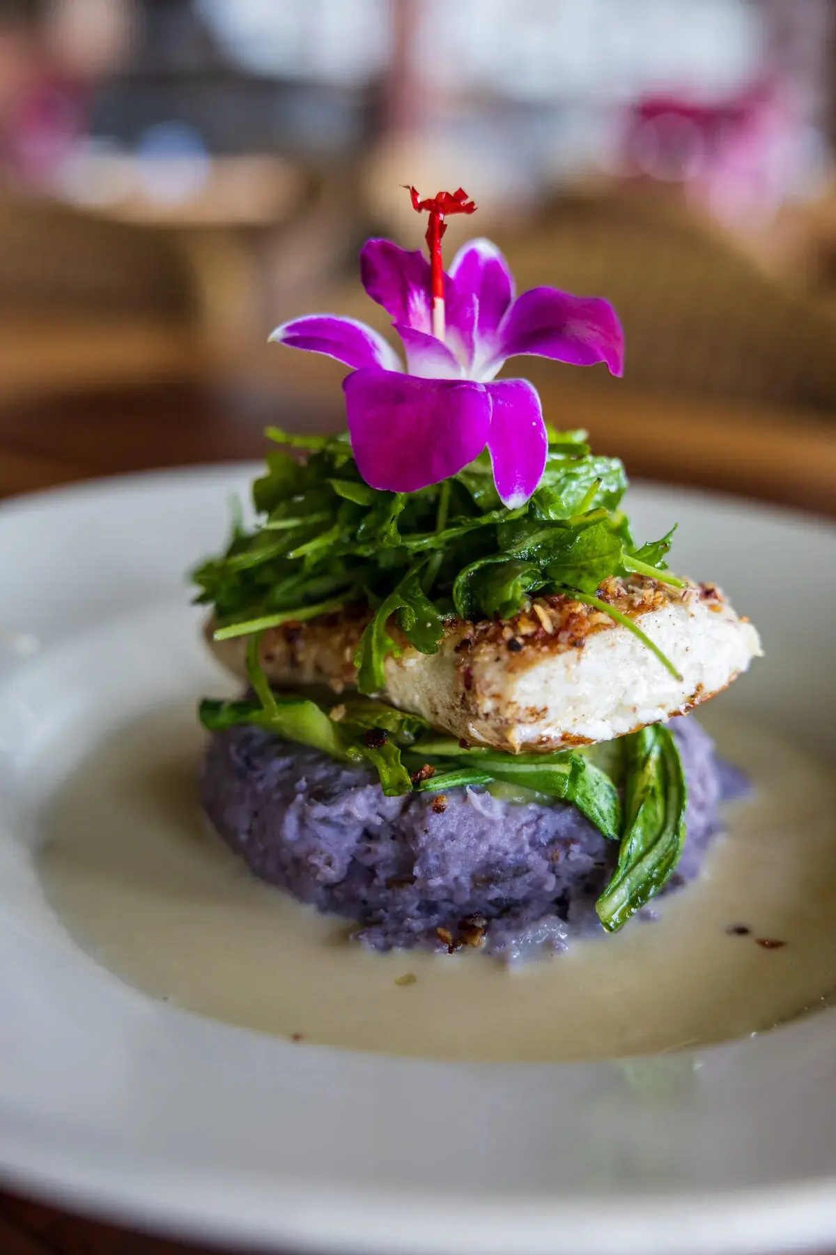 Coconut Crusted Mahi Mahi at Kona Inn Restaurant, fresh island fish over Okinawan purple mash with yuzu butter sauce