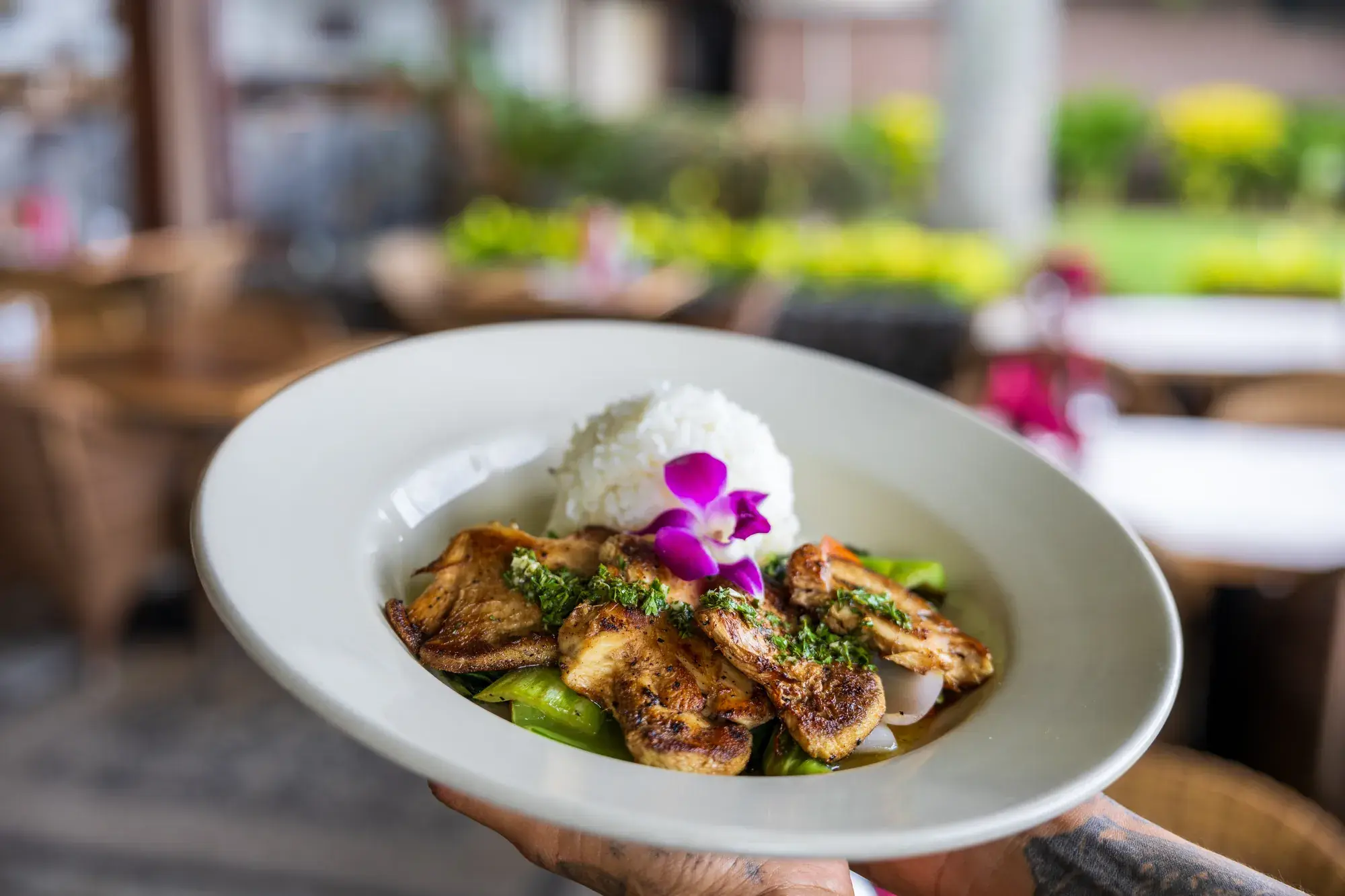 Lion's Mane Mushroom Steak at Kona Inn Restaurant, Seasonal vegetables, macadamia nut chimichurri, white rice.